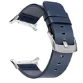 Blue silver
