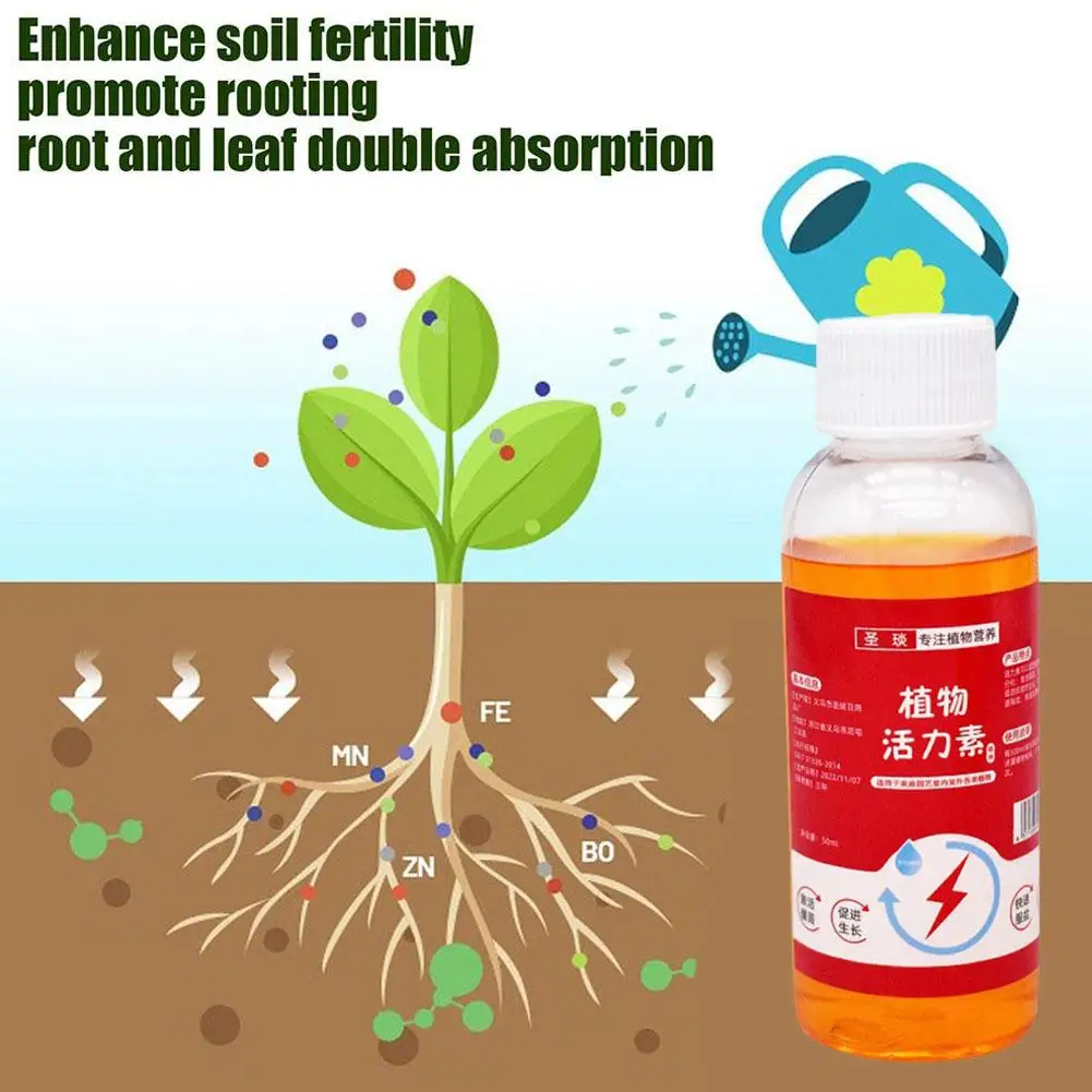 Plant Growth Enhancer Supplement - Universal Flower Fertilizer for Healthy Succulent Roots