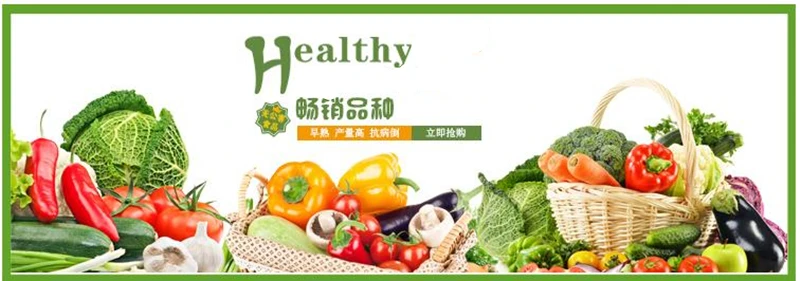 Description Picture 2 of item50g Garden Compound Fertilizer NPK Granular General Bonsai Plant Fruit Vegetable Flower Fertilizer Blueberry Fertilizer