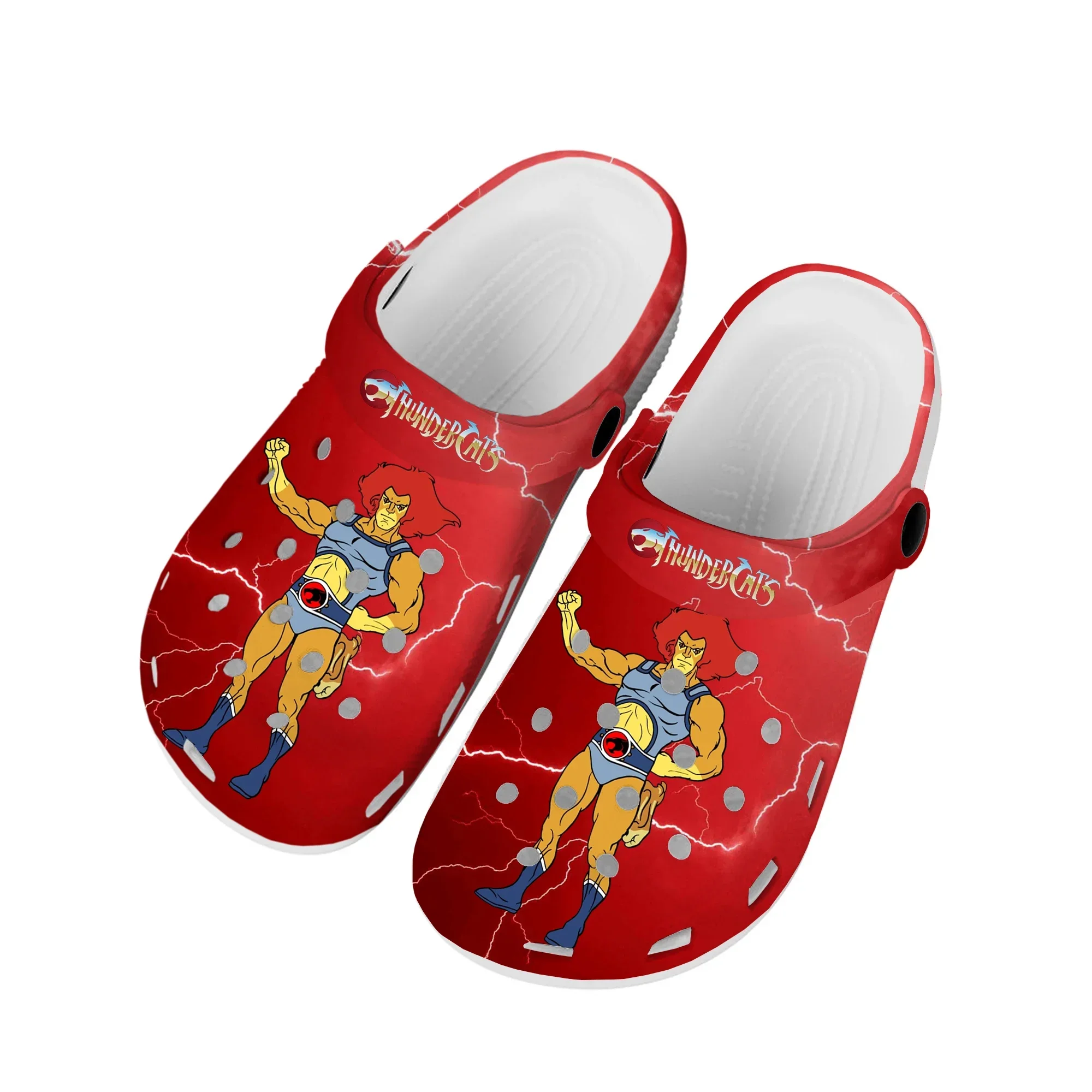 

Cartoon Thundercats Home Clogs Custom Water Shoes Mens Womens Teenager Shoe Garden Clog Beach Hole Slipper Casual Slippers