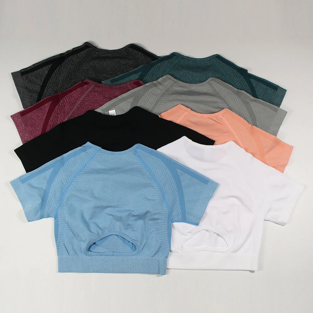 Gym Shirts Seamless Crop Tops Yoga Fitness Women Tights Sports Short Sleeve Running Workout Ombre Sportswear Activewear LANTECH