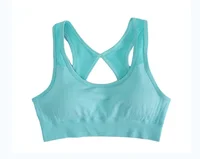 Women's Seamless Yoga Set Hollow Back Bra and Shorts