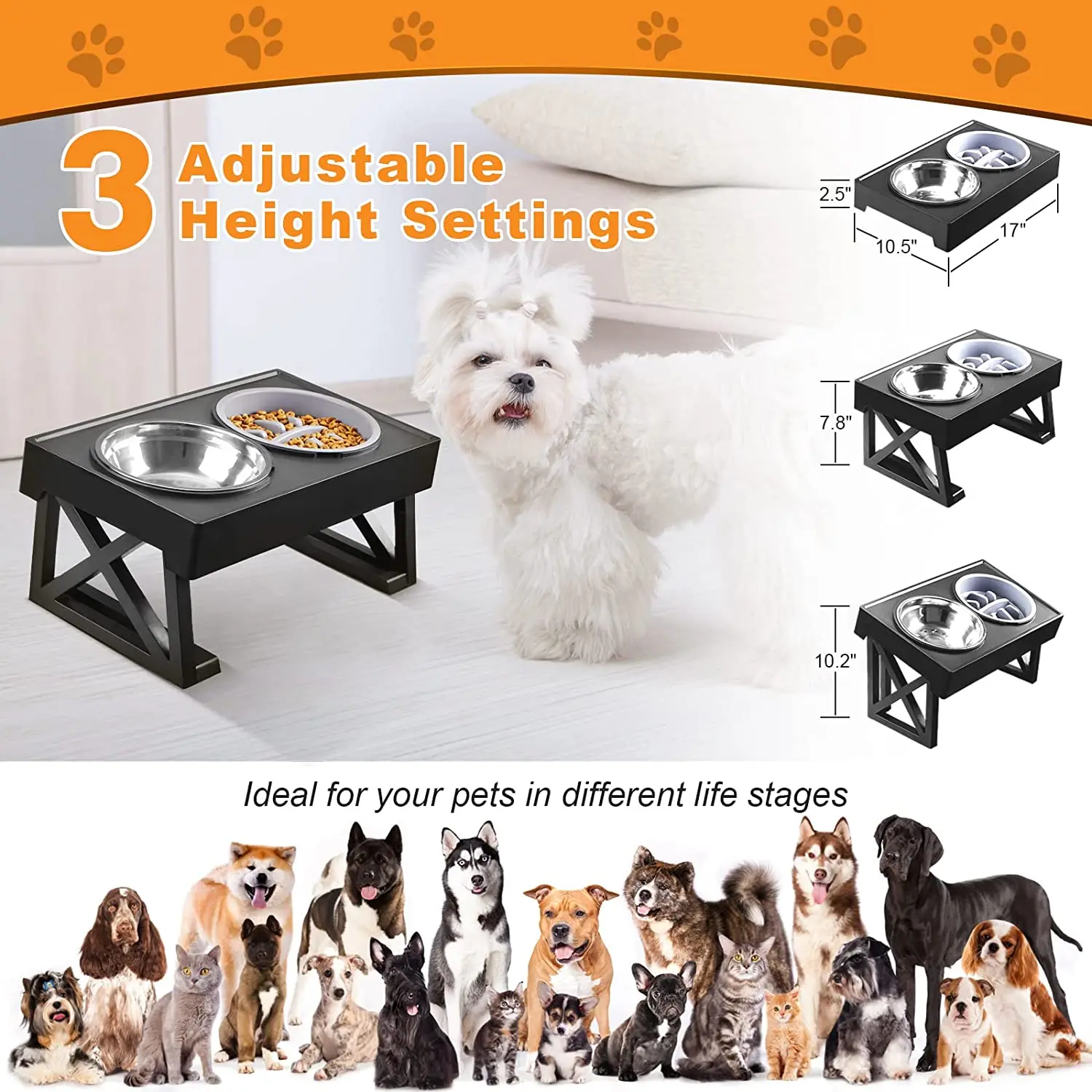 Dog Double Bowls Stand Height Adjustable Pet Feeding Bowl Medium Big Dog  Elevated Food Water Dish Lift Table Feeders Dogs Cats - AliExpress