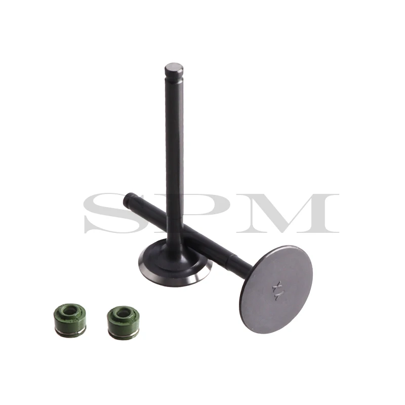 YinXiang 140CC 150CC YX160 엔진을 위한 밸브 오일 씰 및 밸브 세트 실린더 헤드 밸브 키트, 150 160 오토바이를 위한 예비 부품 YX140