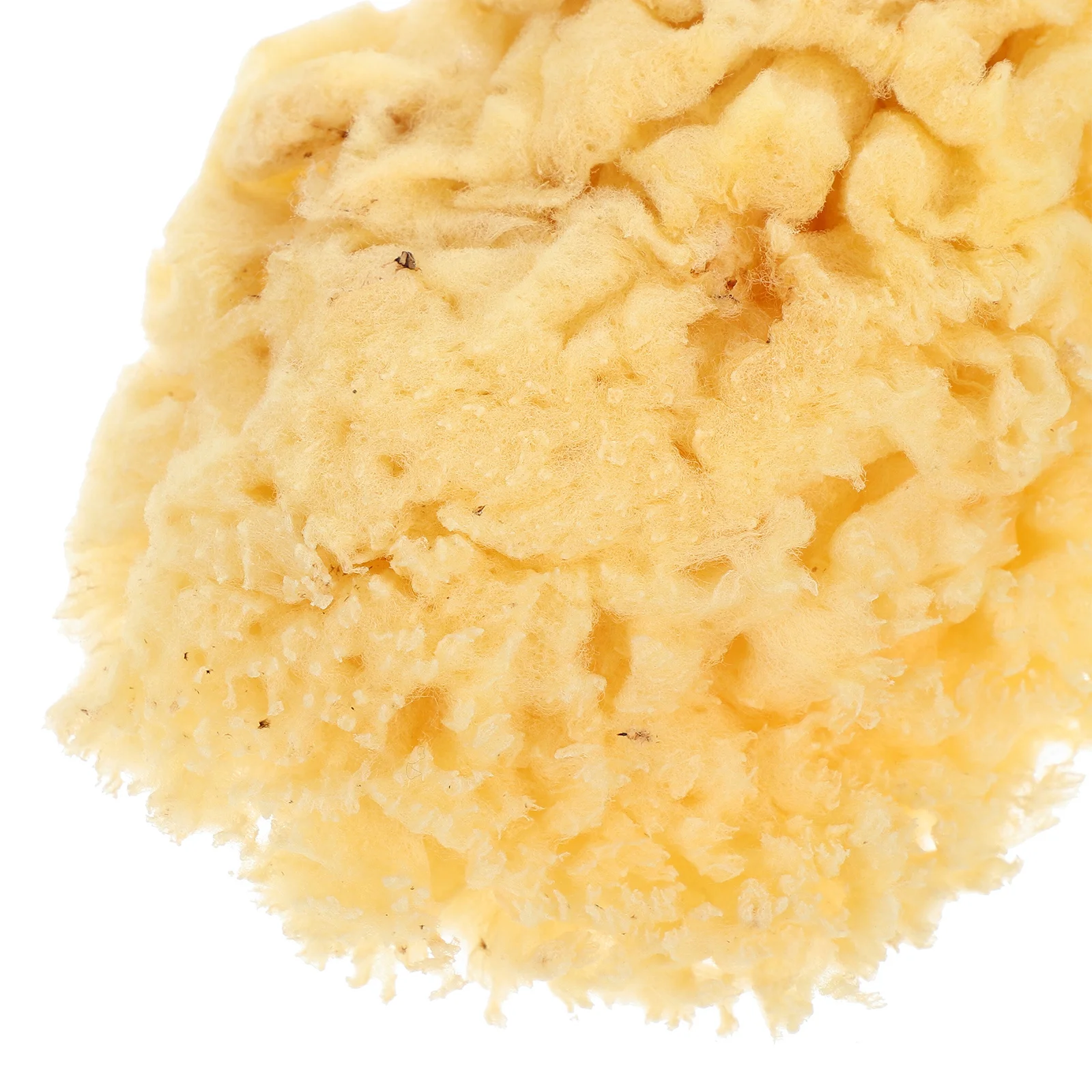 Natural Sea Sponge Soft Watercolor Sponge Water Absorption for Kids Painting Easy to Hold DIY Texture Painting Professional