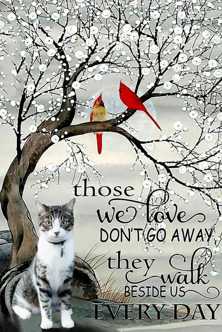 

Cardinal Birds & Robins, Memorial Your Family, Decorations, Wall Decorations