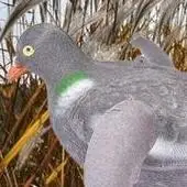 Leurres colombes chasse oiseaux faux réalistes peints volants pigeons décor jardin appât