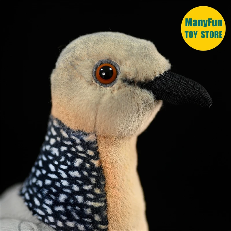 Spotted Dove Plush Toy Turtle Dove Plushie Wild Dove Peluche Lifelike Birds Stuffed Animals Simulation Doll Toy For Kids 2