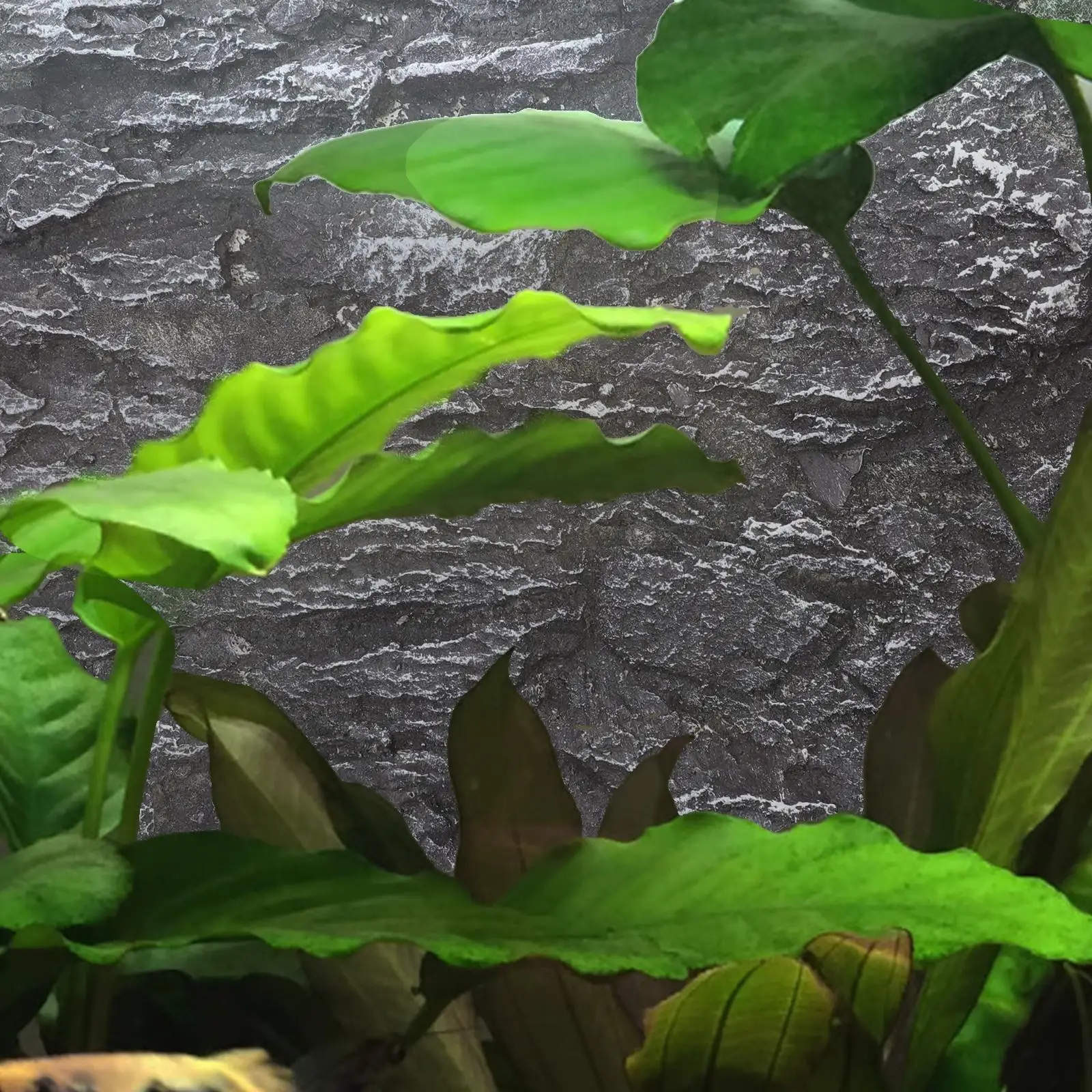 Foam Aquarium Background Rock Slab Animal Lizard Fish Tank Decorations Terrarium