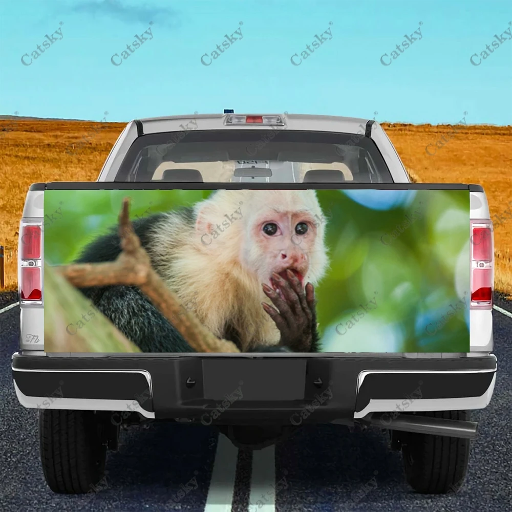Monkey Business - Pack Of 3 Stickers - Auto, Wall, Laptop