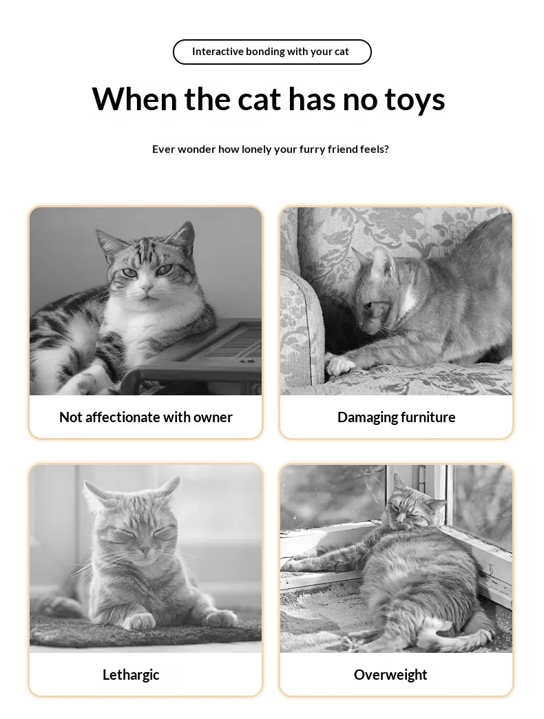 Self Play Cat Toy Teaser Wand image 2