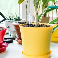 Water Level Indicator Plant Moisture Meter Indoor & Outdoor Flower Pot Water Shortage Reminder Float Water Display Gauge Tool 5