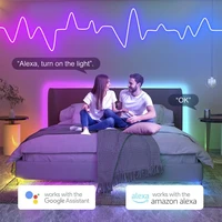 Wiscolor Tuya Wifi Plug RGBIC LED Neon Strip Lights Waterproof Suppprt Aleax/Google Home/Smart Life For Home Decoration Lighting - Image 3