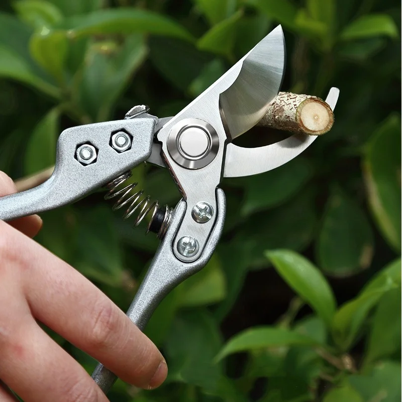 6 Pcs Garden Pruning Shears Bulk Heavy Duty Gardening Scissors Stainless  Steel Blades Gardening Shears Handheld Bypass Garden Pruners Manual Plant