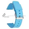 Light Blue-Silver
