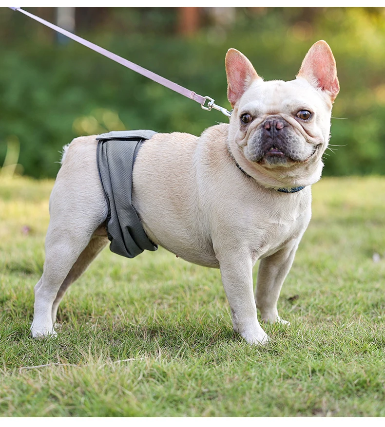 Waschbare Wiederverwendbare Hundewindel Für Rüden Aus Graphen_voghion.com