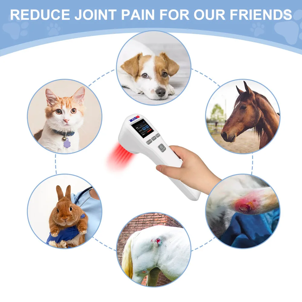 

ZJZK New 880mW LLLT Cold Laser Therapy Dvice 650nm 808nm Laser for Pain Relief Arthritis Wound Healing for Human Pet Dog Cat