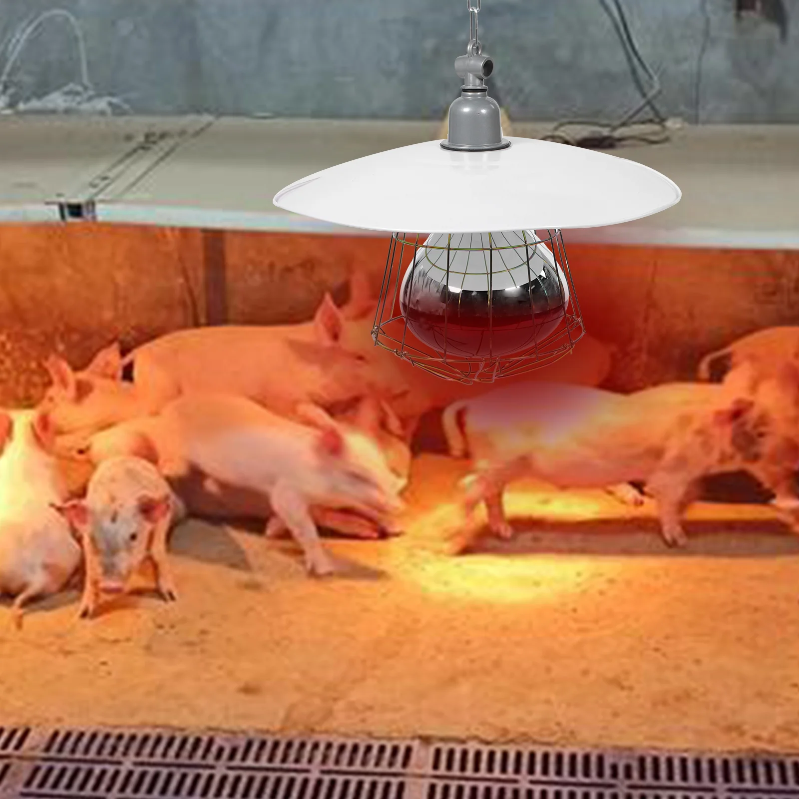 250W Livestock Incubator Box Heating Lamp Little Pig Cage Pet Lizard Warmer Light Pet Warming Lamp 30x20x10cm Random Color reptile heating lamp,reptile light bulb,reptile lamp bulb,heating lamp bulb,poultry heating bulb