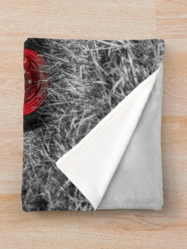 ��Ƽ�� IH 300 �÷� ���� ���ο� ���, �ܿ�� ���Ÿ� �귣�� ���� �ö��� ���