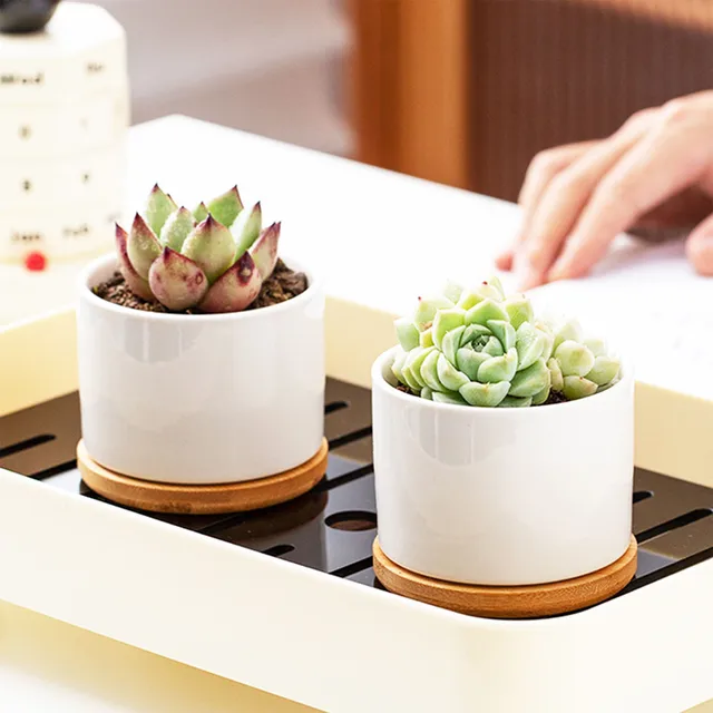 8x6cm Mini Flowerpot Simple White Ceramic Round Bottom Flowerpot For Succulent Plant Cactus Cute Gardening Planting Supplies 2