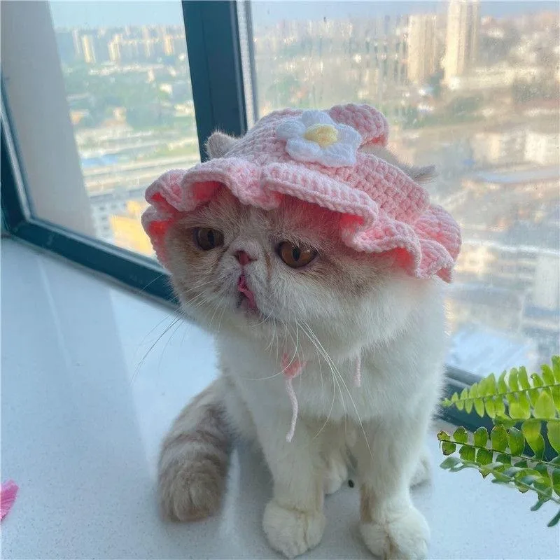 Cat Hat Puppy Kittens Knitted Party Photo Shoot Props Decoration Cat Accessories pet hat