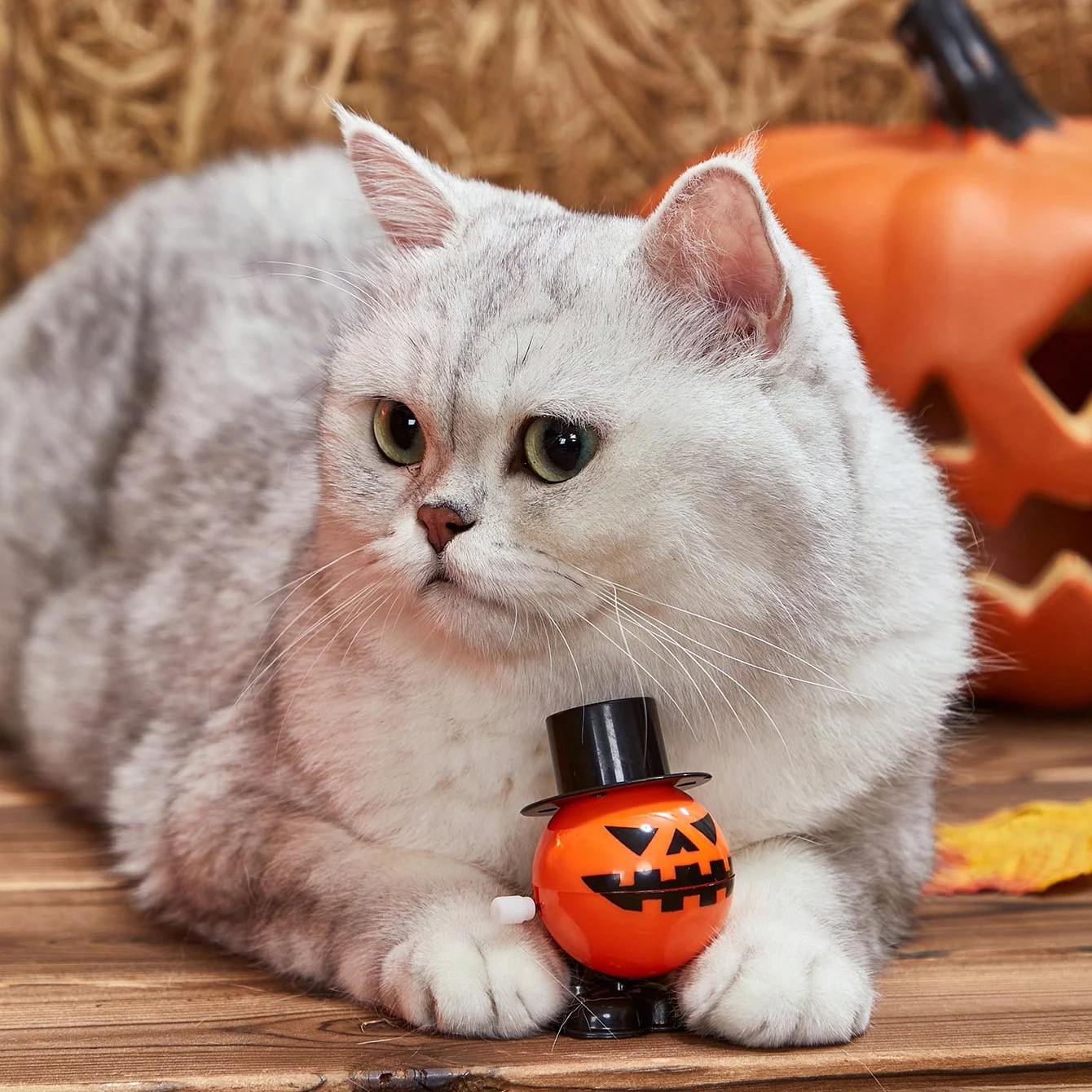 Pumpkin Clockwork Toy Interactive Pet