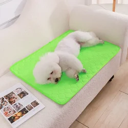 Enhanced Absorbent Washable Pet Pad Blanket for Training and Protection (Green)