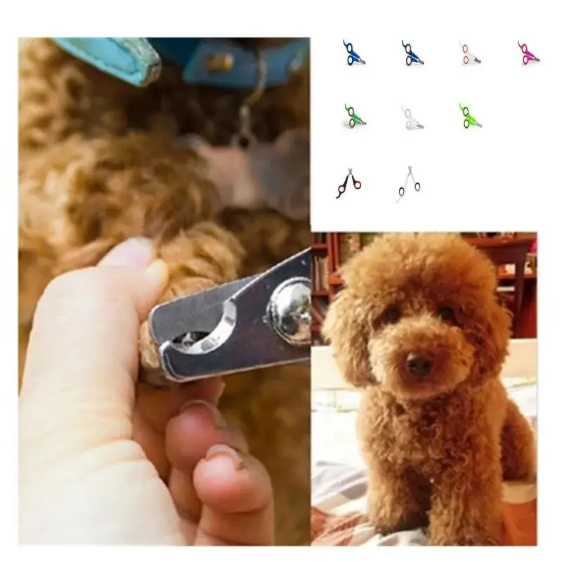 Pet Scissors Dog and Cat Animal Toenail Grooming Tools