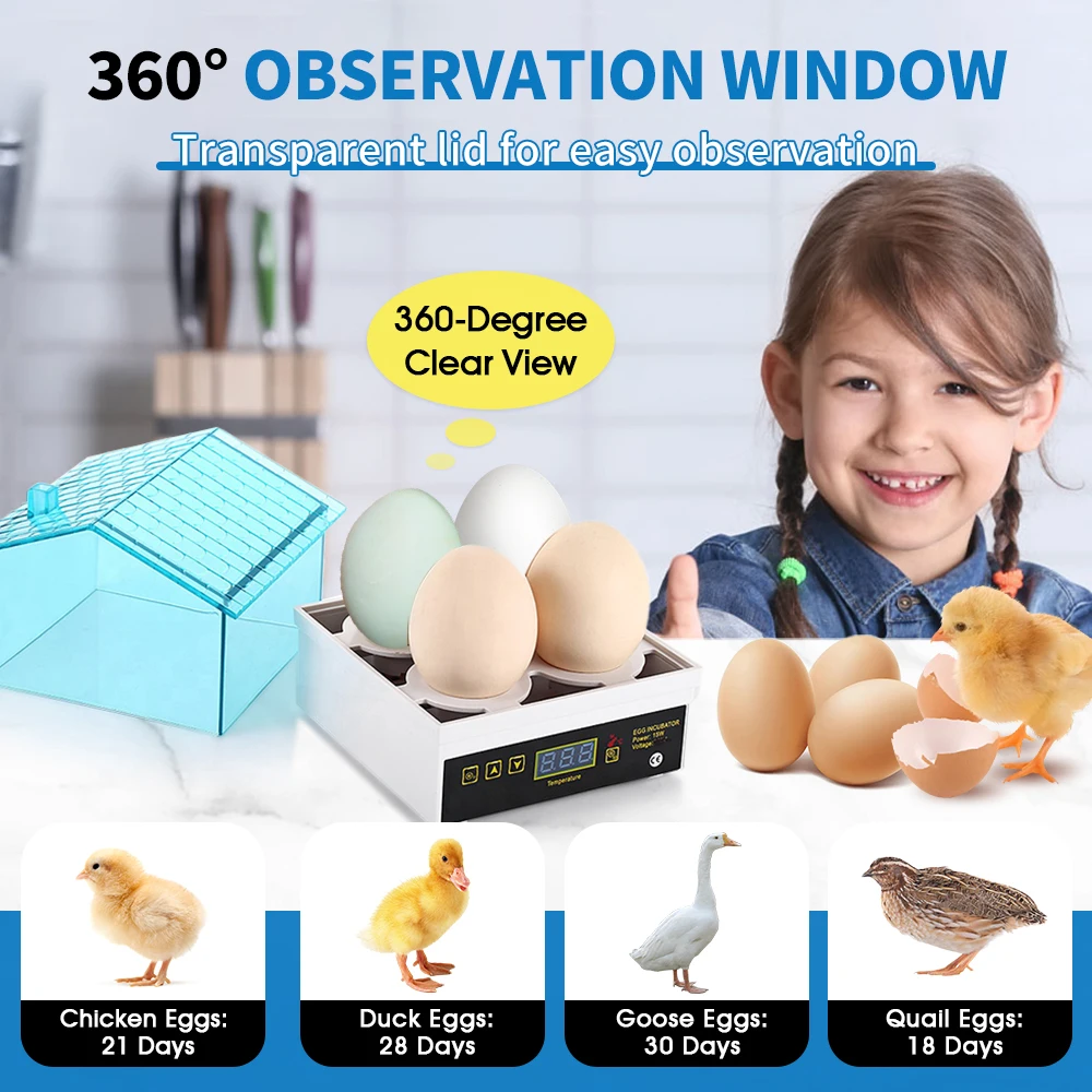 4-Egg Mini Incubator Small Household Automatic Constant Temperature egg incubator Can Hatch Eggs Of Chickens Ducks Turtles And Birds