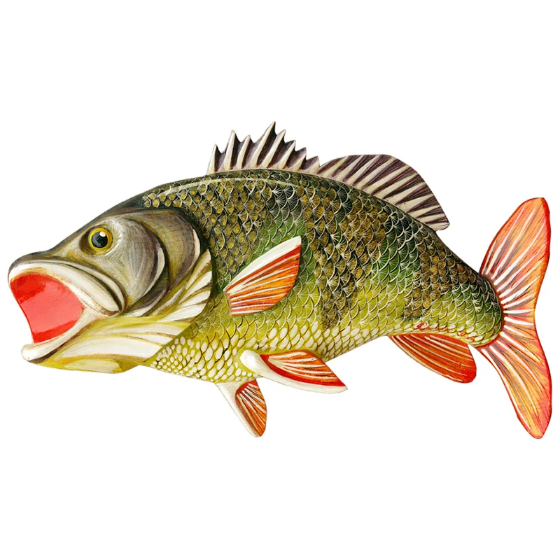 Картинка окунь для детей на прозрачном фоне для детей