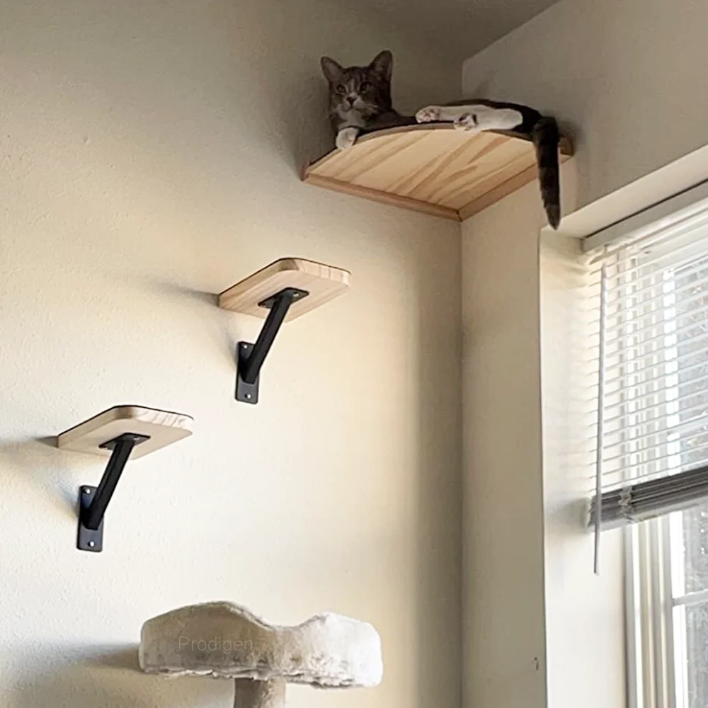 Muebles de pared para gatos, estante de escalada, escalones