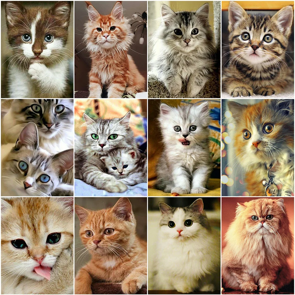 Diamond Painting Kit Evershine Diamond Embroidery Cat 5D DIY Animals Cross Stitch for Home Decoration