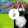 Optical microscope for Adults Kids 64X-2400X Magnification Compound Microscope with Microscope Slides Fill Light for Students 6