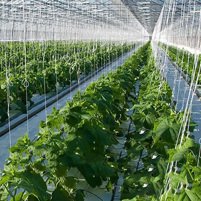 Crop Rácsos Görgőhorog Műanyag Zsineg Fehér Színű Paradicsom Hengerek Könnyen Használható Tartós Szőlő Tartóhorog Az Udvarra - Image 3