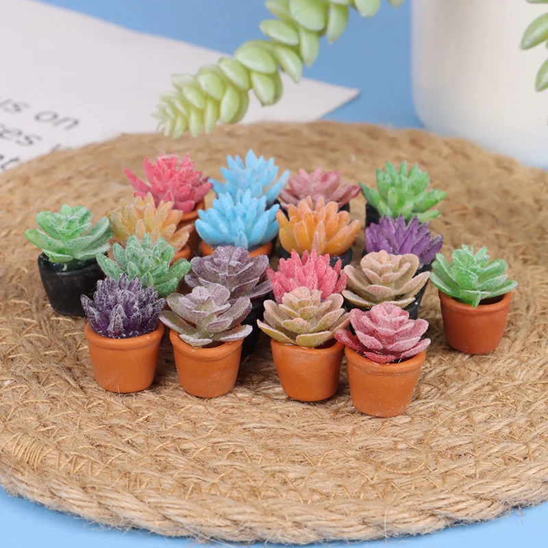 

5pcs 1:12 Dollhouse Miniature Mini Potted Succulent Plant Model Accessories