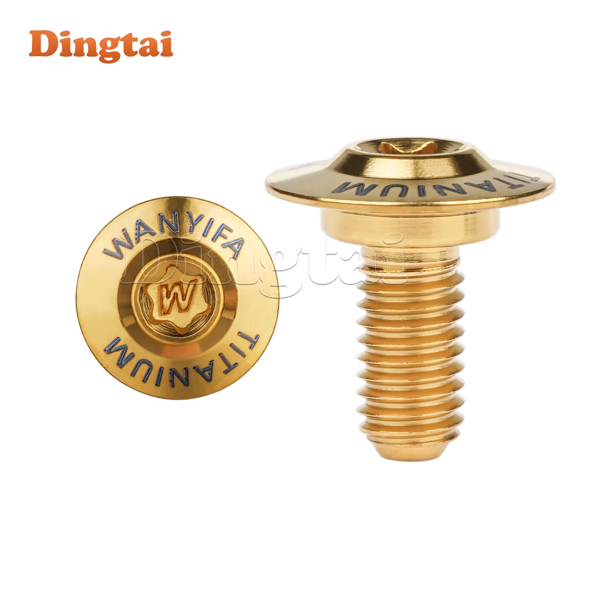 High-Strength Dingtai Titanium Alloy Step Bolt for Electric Motorcycle Side Plate