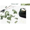 1/35 1/24 1/48 1/72 1/16 Diorama Model Kit Modeling Scene Leaf Maker Military Model Civilian Scene Making Detail Decoration 3