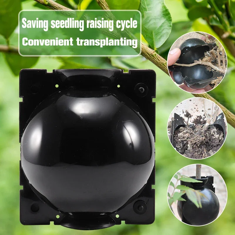 Crediri Root Balls, Dispositivo Di Radicazione Riutilizzabile Dispositivo Di Radicazione Da Taglio Nero Per La Propagazione Delle Piante Growbox 3 Pezzi 86440237