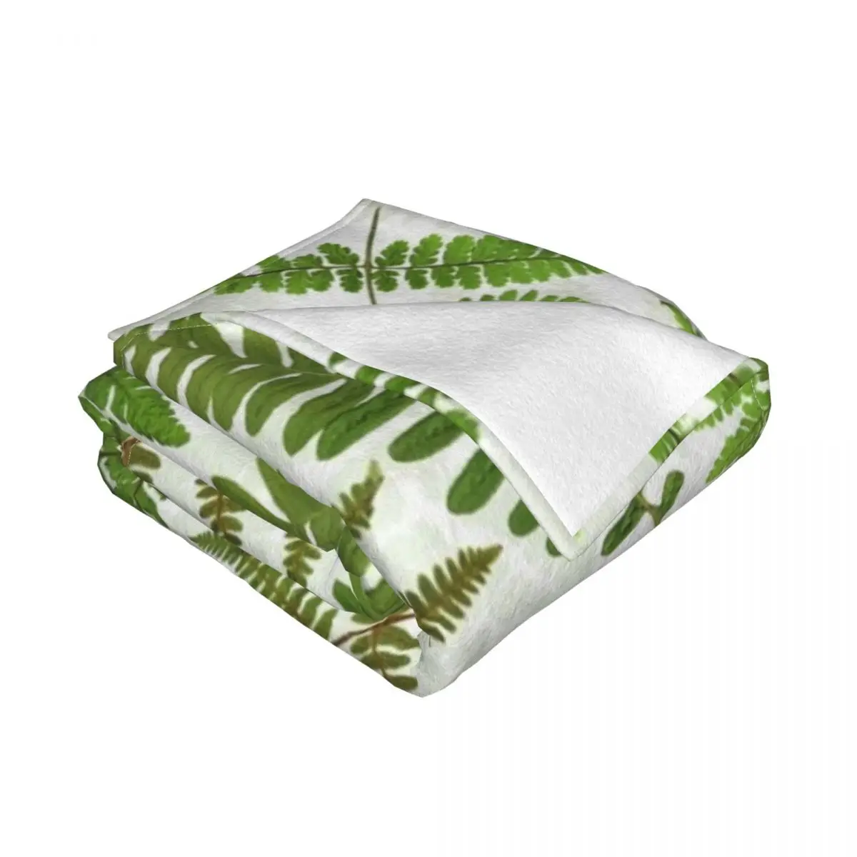 ���� ���� ���縮 �� ������ ���, ħ�� ���, ǫ���� ���� ���