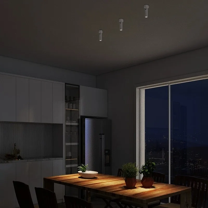 LED Spotlight Small Angle 3 degree 8 degrees