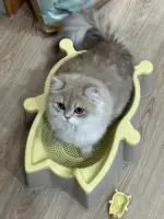 New Summer Bed cats Vegetable Basket Four Seasons Universal Breathable Accessories for cats houses & habitats Carrier for cat 2