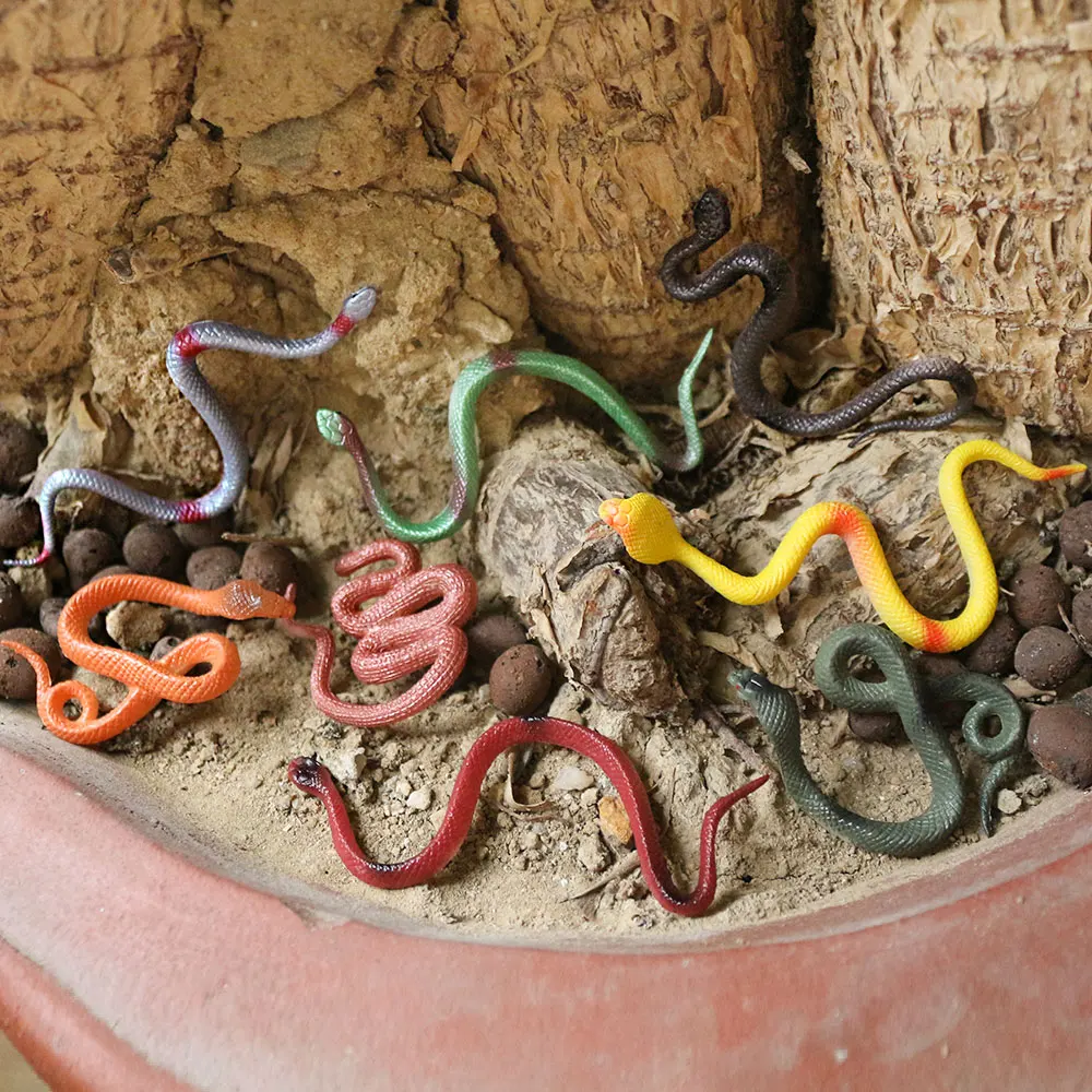 How Complete Mini Snake S72b820523bcc4ae0ab863a50c822adddy.jpg