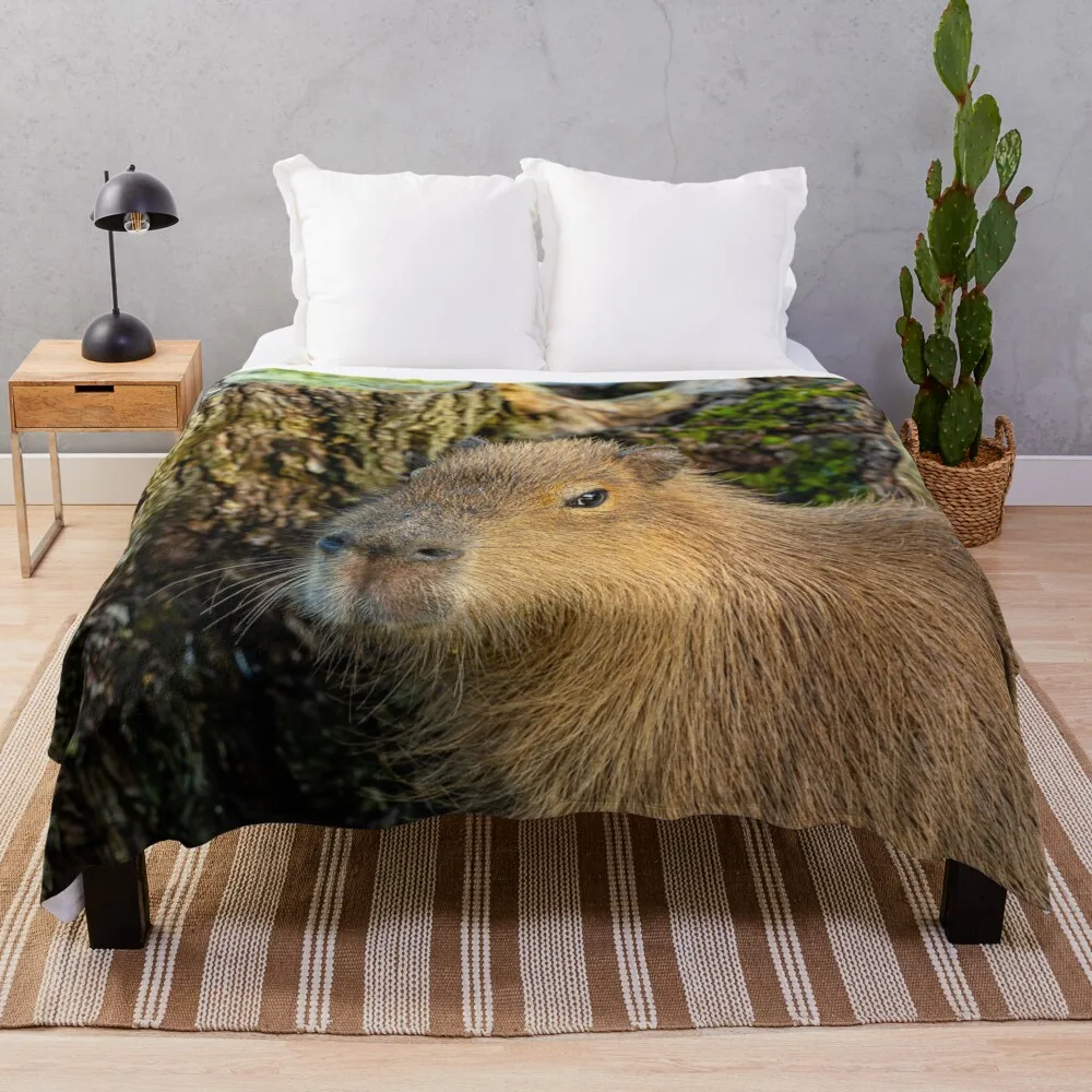 

Just watching the world go by Throw Blanket Luxury Blanket Fluffy Blankets Large Thermal Blanket