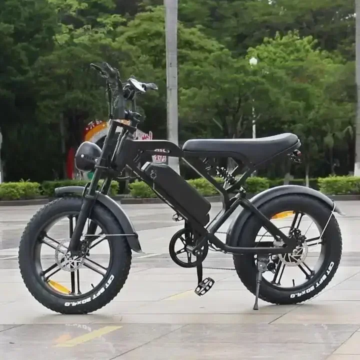 V20Pro-ワイドタイヤ付き電動自転車,1000W, 48V, 15Ah, 20インチ