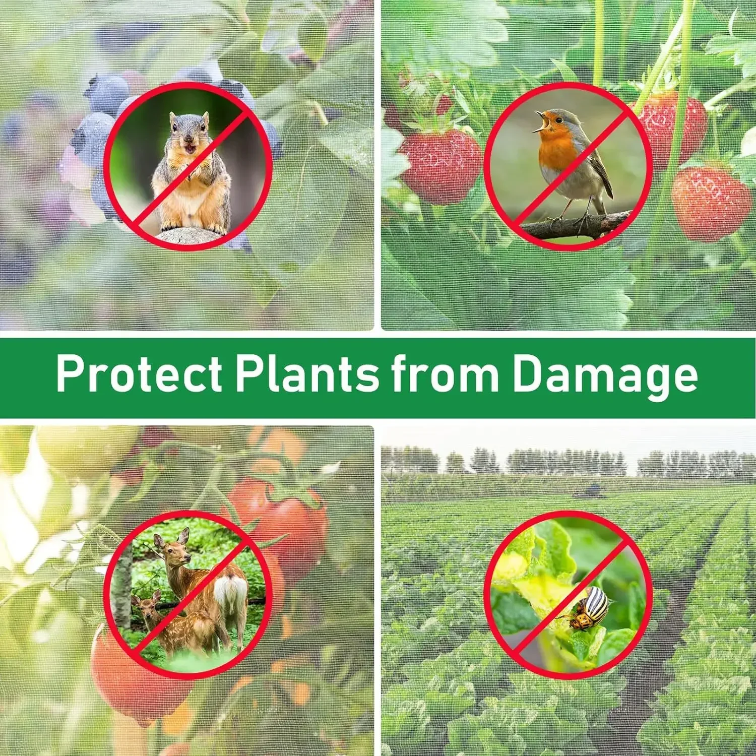 Description Picture 4 of itemGarden Plant Insect Netting Vegetable, Flower and Fruit Care Cover Netting Pest Control Bird-proof 60 Mesh Protective Netting