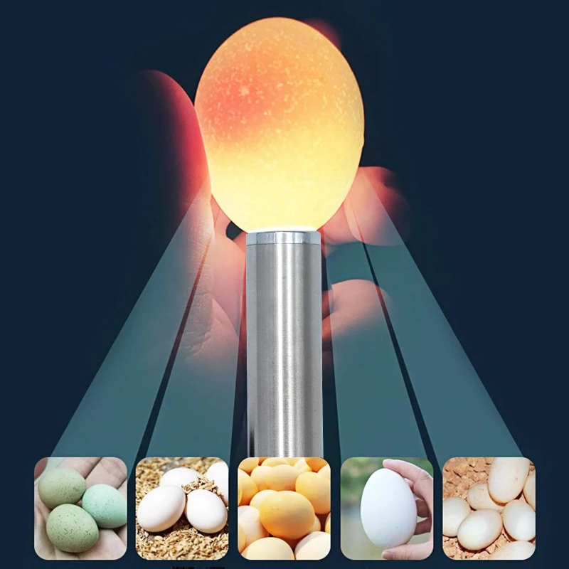 Egg Incubator Egg Candler Incubator Eggtester Egg Candling Lamp Led Super Cold Light Flashlight Equipment for All Chicken Dark Quail Duck Canary Eggs
