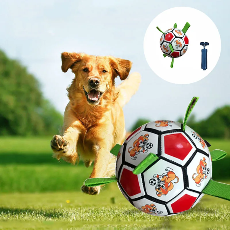 Dog Outdoor Training Soccer Interactive Football Toys For Dogs Outdoor