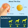 Smart Rechargeable LED Pet Ball – Automatic Bouncing & Rolling Interactive Toy With RGB Lights Cats Accessories Pets Toys Games 5