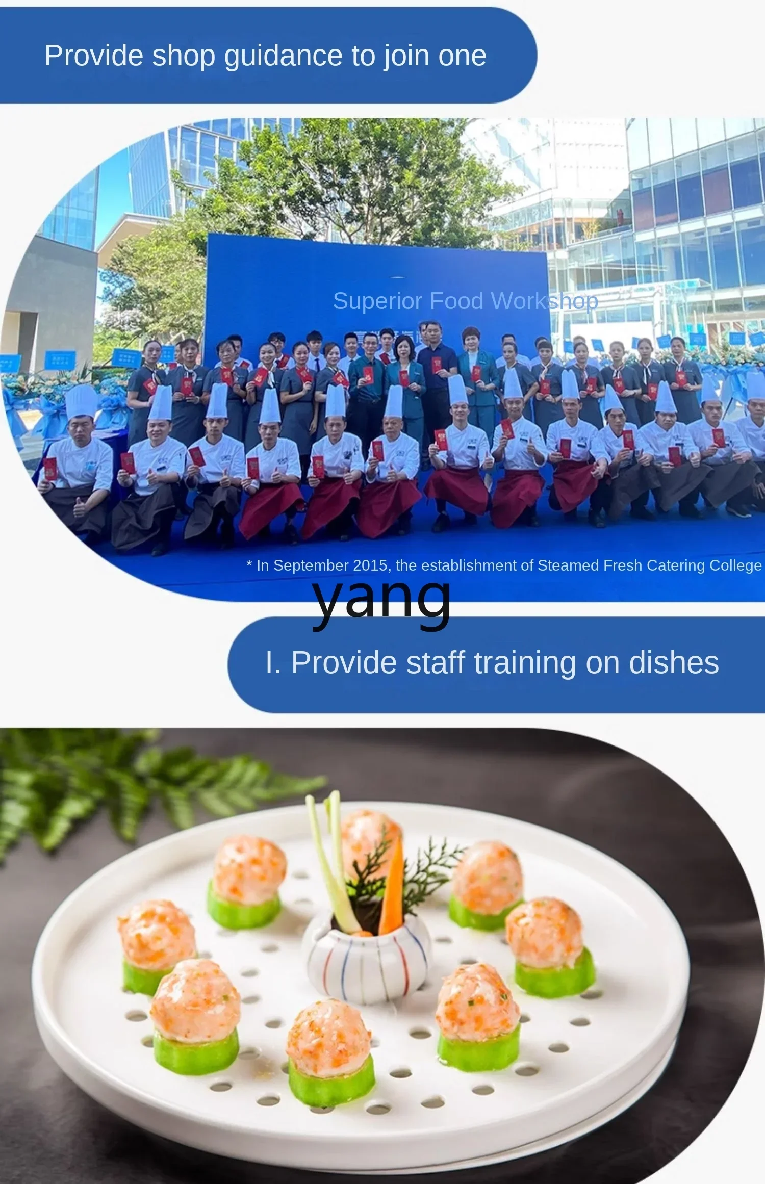 L'm'm Electric Saucepan for Commercial Use Multi-Functional Hot Pot Sauna Pot Steaming and Cooking Lattice Maker