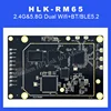 Hilink Gigabit WiFi6 AX3000 Routing Module HLK-RM65 MT7981B Dual-core MT7981B+MT7976C+MT7531A Chipset 2.4G+5.8G Testkit 2